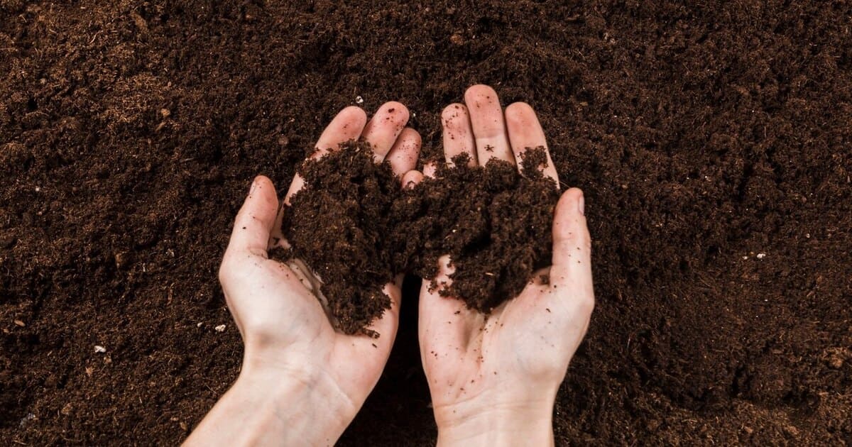 Mengenal 5 Jenis Tanah dan Karakteristiknya