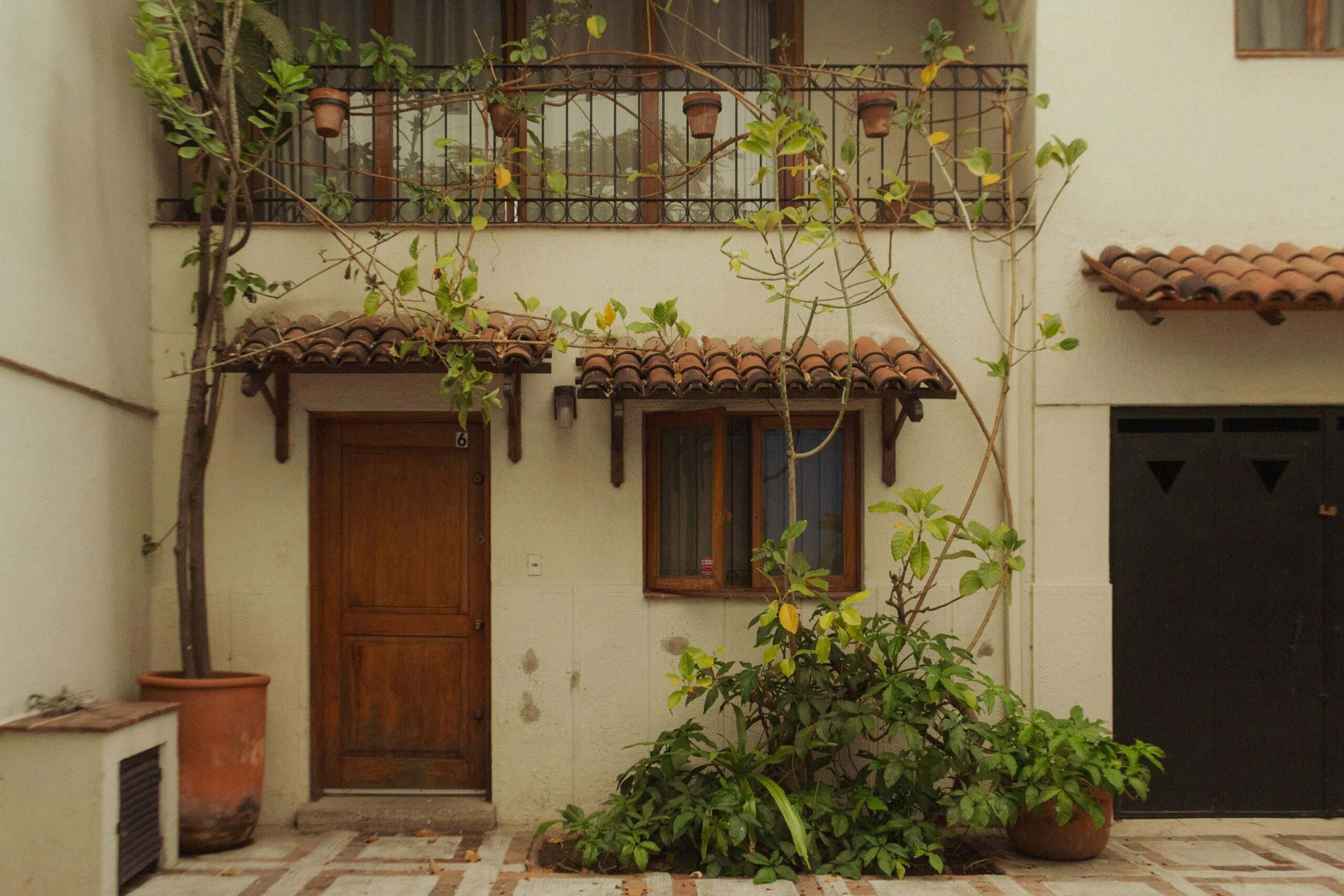 Jangan Salah Pilih! 8 Tanaman Depan Rumah Bawa Hoki