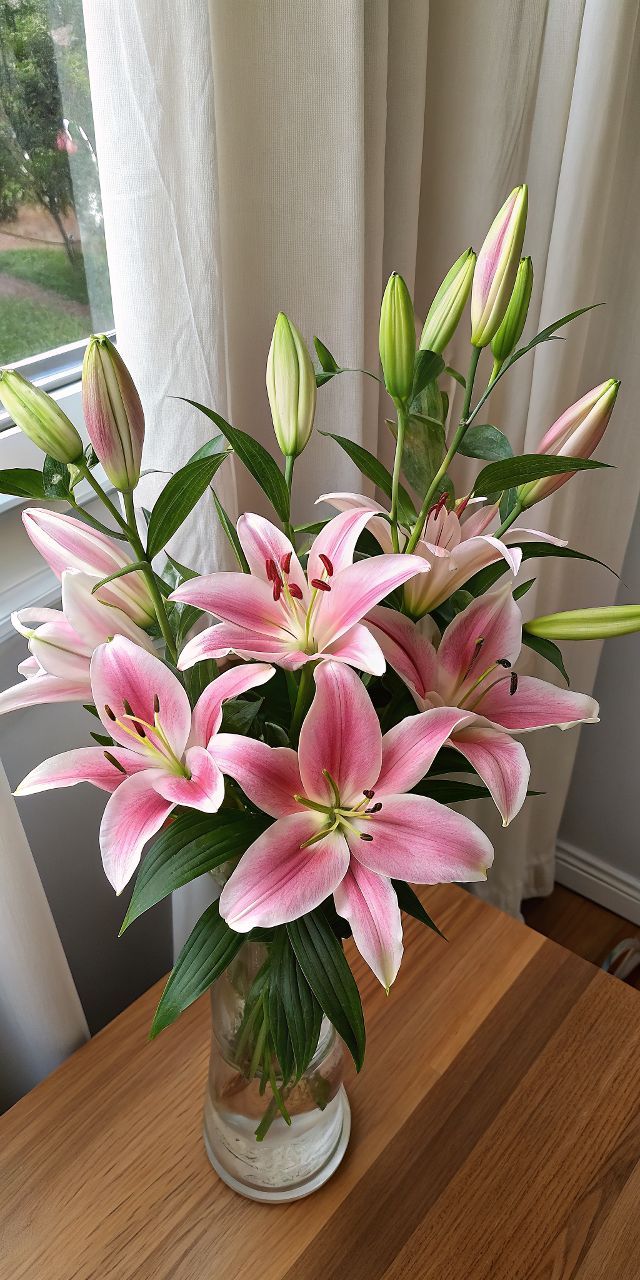 Manfaat Bunga Lily, Si Penyejuk dan Pemanis Ruangan