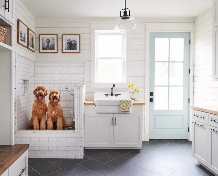 Desain Rumah Pet Friendly yang Nyaman dan Fungsional!