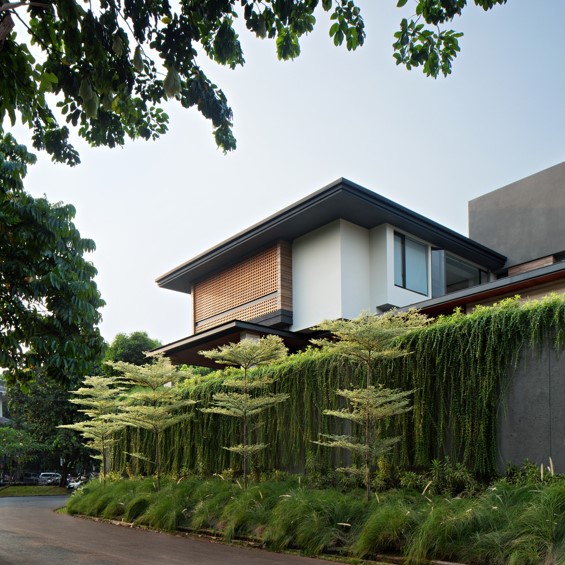 Jangan Ketinggalan! 7 Ide Vertical Garden Hemat Ruang