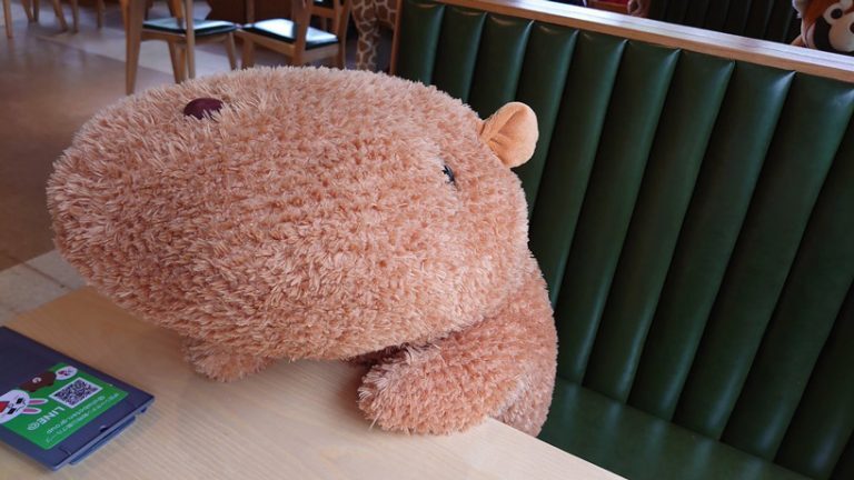 Saatnya Makan Siang Bersama Capybara, Mau Coba? 