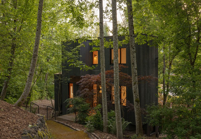 Elok! Rumah 90-an di Seattle Dirombak Jadi Hunian Dekat Alam