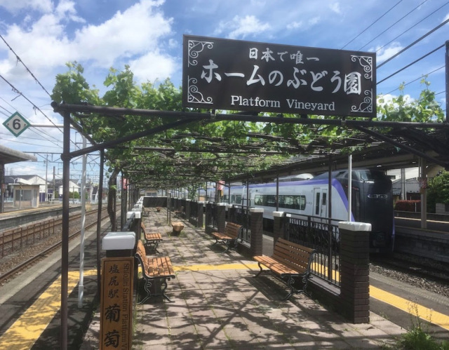 Unik! Stasiun Kereta Jepang ini Dihiasi Kebun Anggur