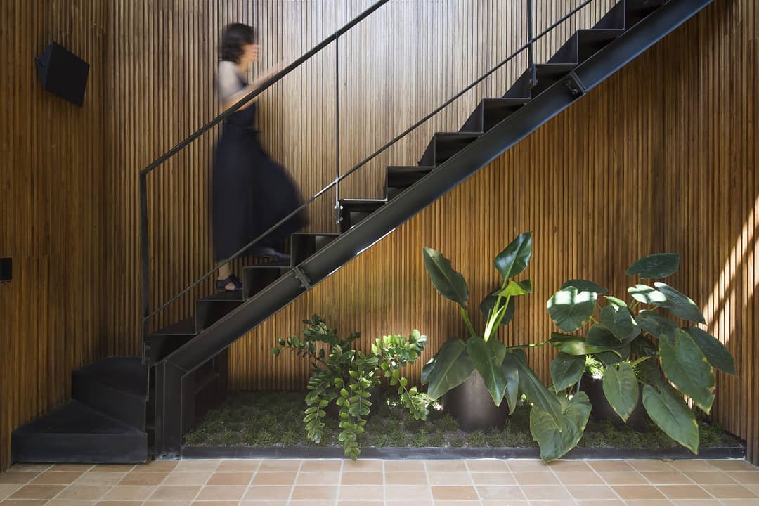 Memahami Jenis Taman Dalam Rumah dan Inspirasi Desainnya!
