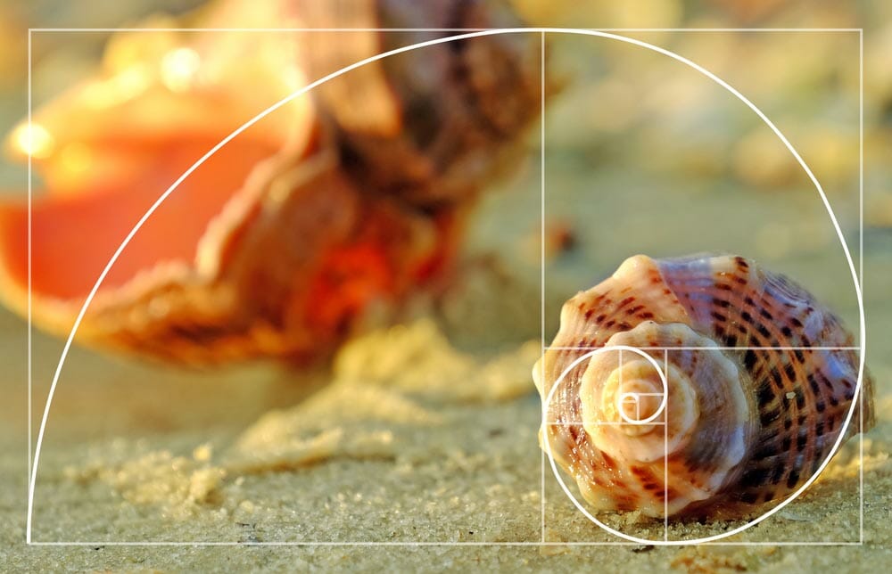 Apa Itu Golden Ratio? Rumus di Balik Arsitektur yang Indah
