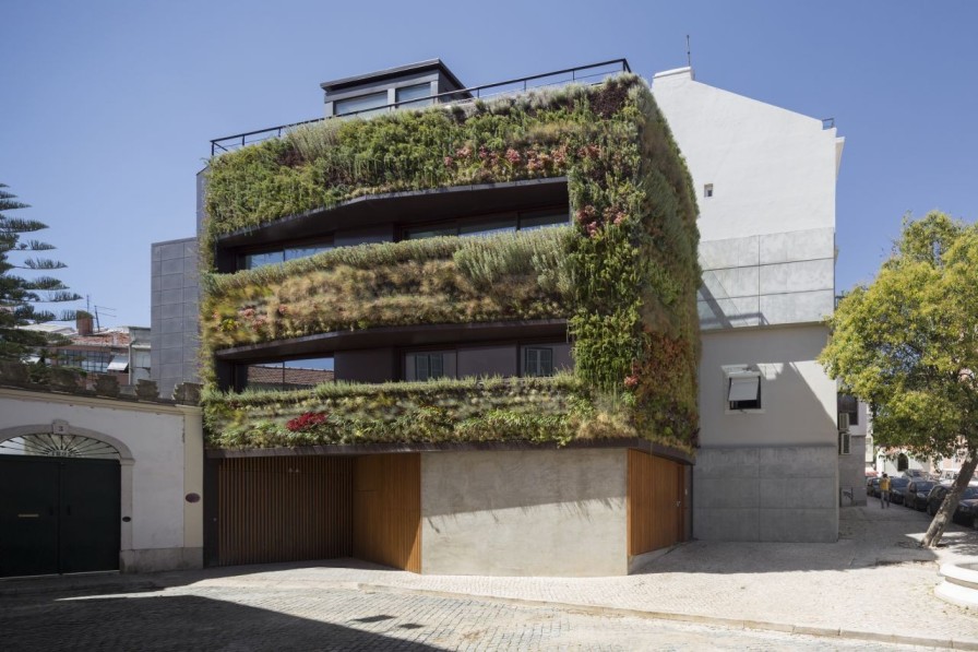 Memahami Konsep Vertical Garden Outdoor: Manfaat & Desain!